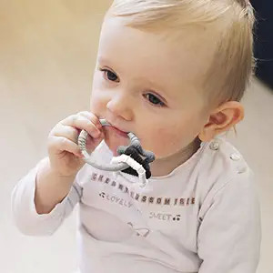 না - phthalates না - ক্ষতিকারক - উপাদান সিলিকন শিশুর নবজাতকের জন্য দাঁতের খেলনা